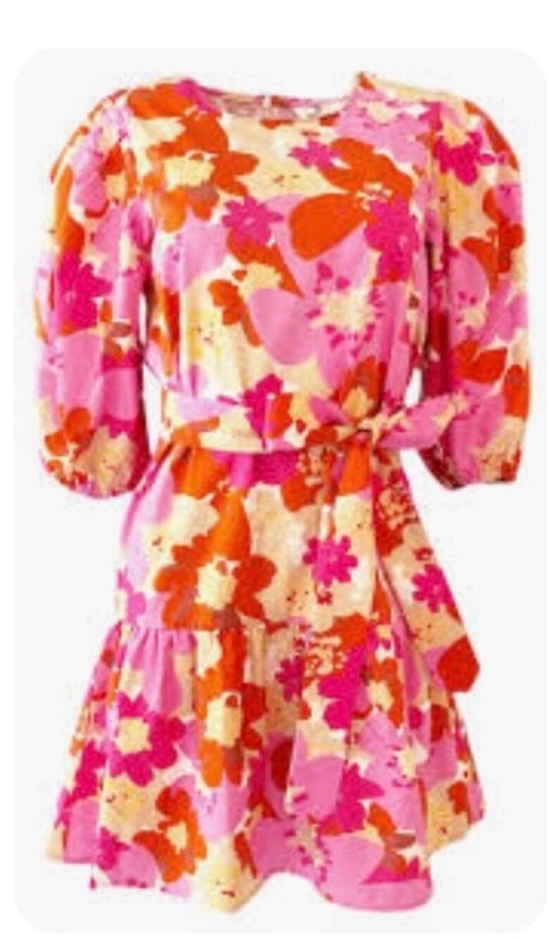 LaRoque Mini Dress Zoe Groovy Floral Belted Ruffle Hem Cotton